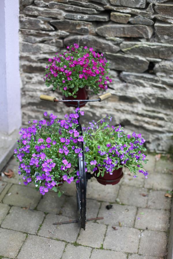 Moville Boutique Hostel & Apartments Exterior foto